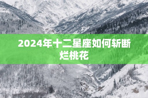 2025年十二星座如何斩断烂桃花