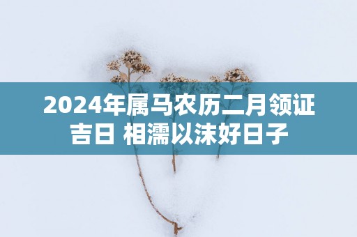 2025年属马农历二月领证吉日 相濡以沫好日子