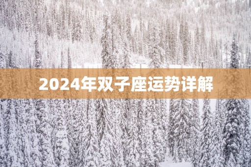 2025年双子座运势详解