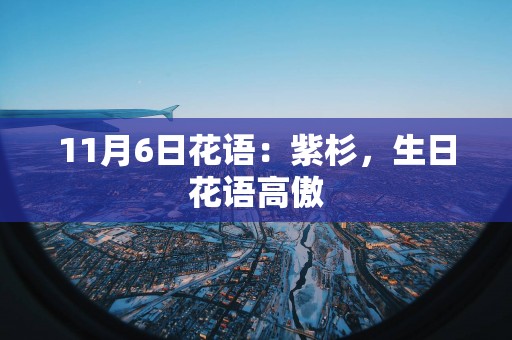 11月6日花语：紫杉，生日花语高傲