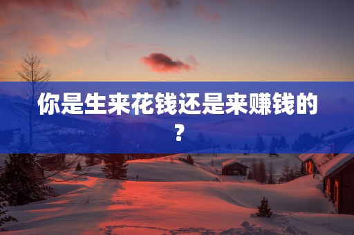你是生来花钱还是来赚钱的？