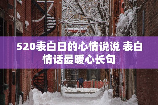 520表白日的心情说说 表白情话最暖心长句