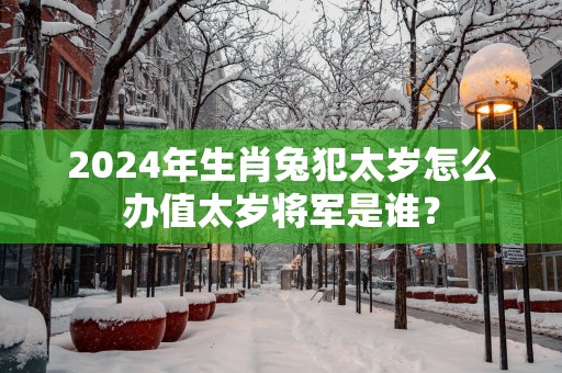 2025年生肖兔犯太岁怎么办值太岁将军是谁？