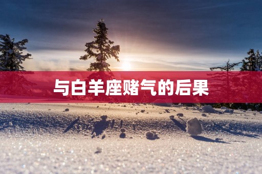 与白羊座赌气的后果