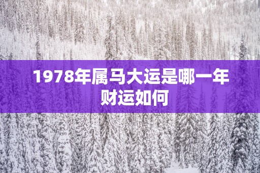 1978年属马大运是哪一年  财运如何
