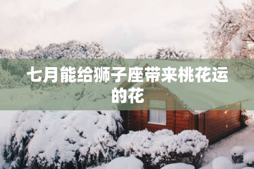 七月能给狮子座带来桃花运的花