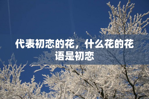 代表初恋的花，什么花的花语是初恋