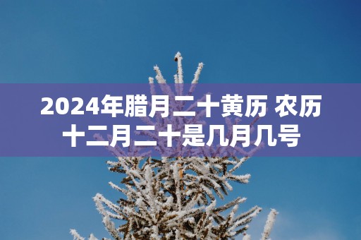 2025年腊月二十黄历 农历十二月二十是几月几号