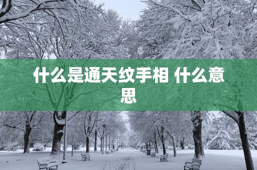 什么是通天纹手相 什么意思