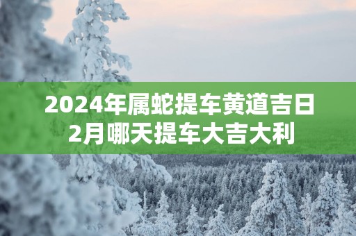2025年属蛇提车黄道吉日 2月哪天提车大吉大利