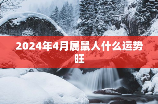 2025年4月属鼠人什么运势旺