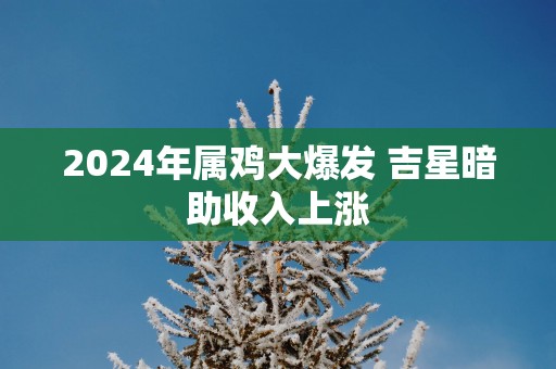 2025年属鸡大爆发 吉星暗助收入上涨