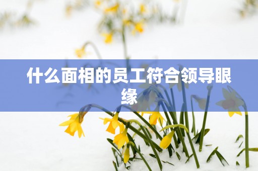 什么面相的员工符合领导眼缘