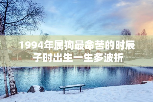 1994年属狗最命苦的时辰 子时出生一生多波折