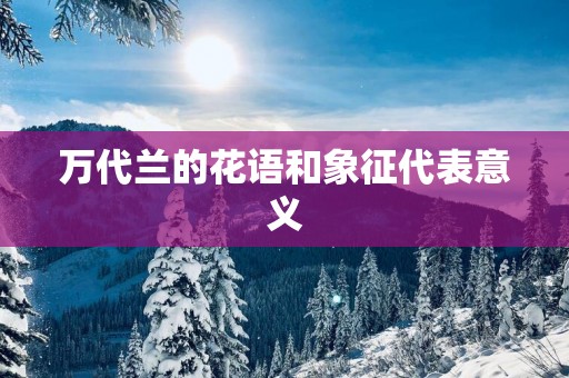 万代兰的花语和象征代表意义