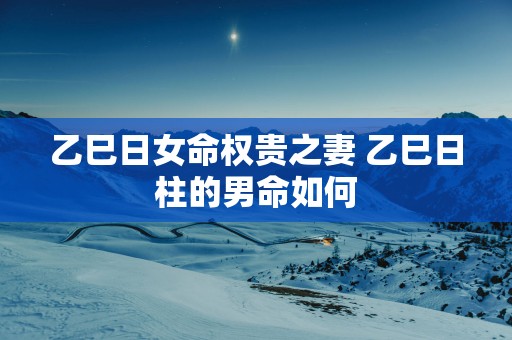 乙巳日女命权贵之妻 乙巳日柱的男命如何