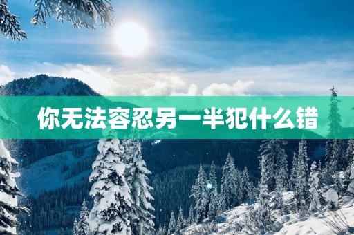 你无法容忍另一半犯什么错