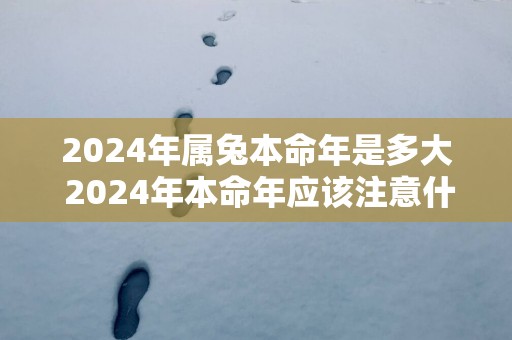 2025年属兔本命年是多大 2025年本命年应该注意什么