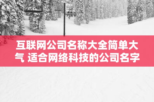 互联网公司名称大全简单大气 适合网络科技的公司名字