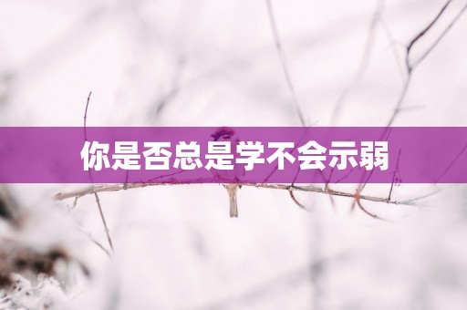你是否总是学不会示弱
