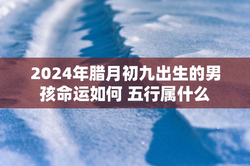2025年腊月初九出生的男孩命运如何 五行属什么