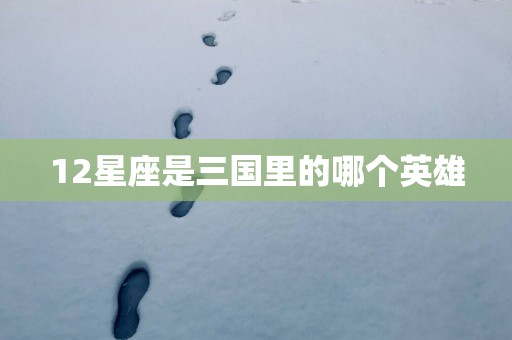 12星座是三国里的哪个英雄