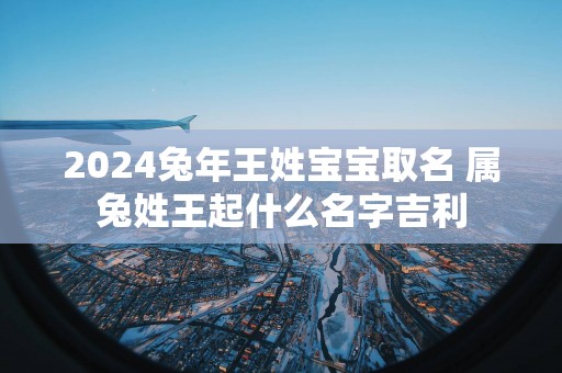 2025蛇年王姓宝宝取名 属兔姓王起什么名字吉利