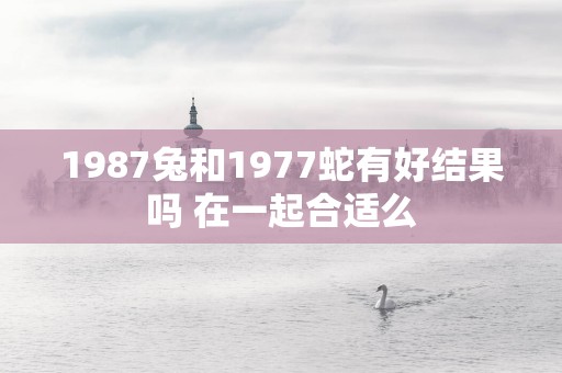 1987兔和1977蛇有好结果吗 在一起合适么