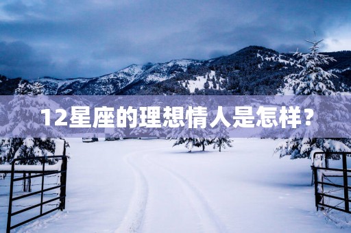12星座的理想情人是怎样？