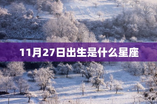 11月27日出生是什么星座