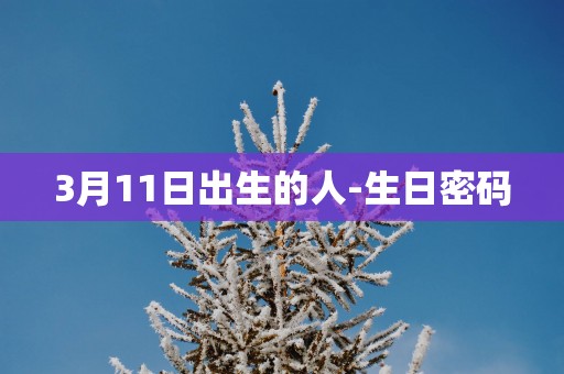3月11日出生的人-生日密码