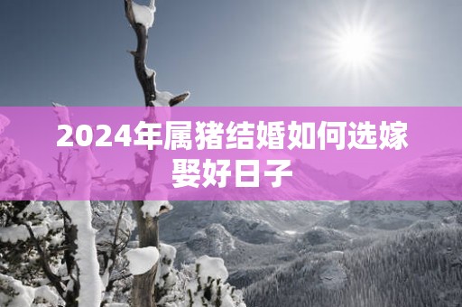 2025年属猪结婚如何选嫁娶好日子