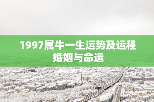 1997属牛一生运势及运程 婚姻与命运