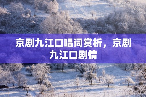 京剧九江口唱词赏析，京剧九江口剧情