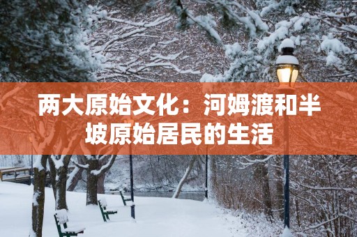 两大原始文化：河姆渡和半坡原始居民的生活