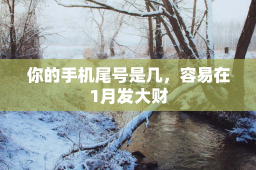 你的手机尾号是几，容易在1月发大财
