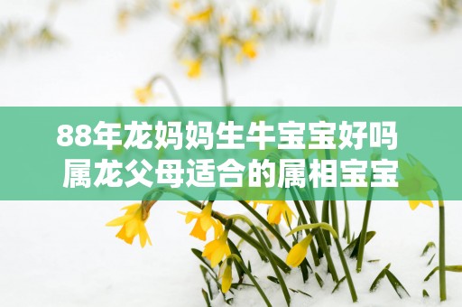 88年龙妈妈生牛宝宝好吗 属龙父母适合的属相宝宝