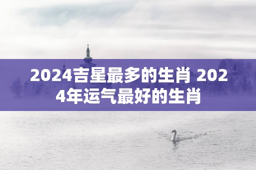 2025吉星最多的生肖 2025年运气最好的生肖