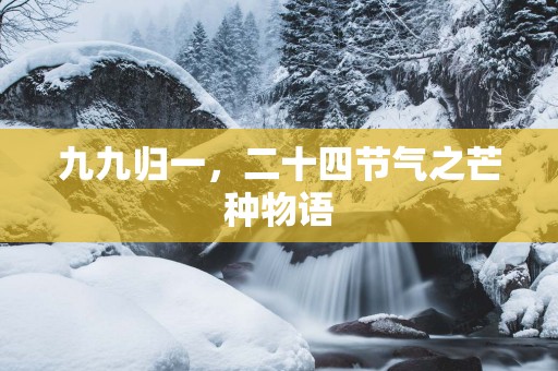 九九归一，二十四节气之芒种物语