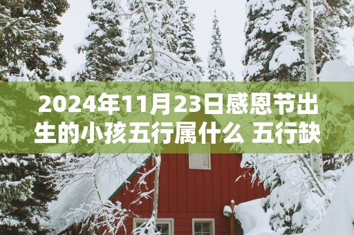 2025年11月23日感恩节出生的小孩五行属什么 五行缺什么