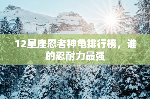 12星座忍者神龟排行榜，谁的忍耐力最强