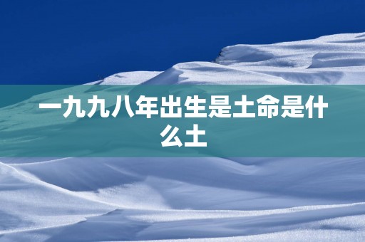 一九九八年出生是土命是什么土