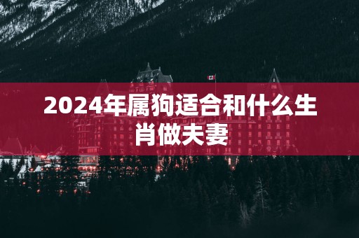 2025年属狗适合和什么生肖做夫妻