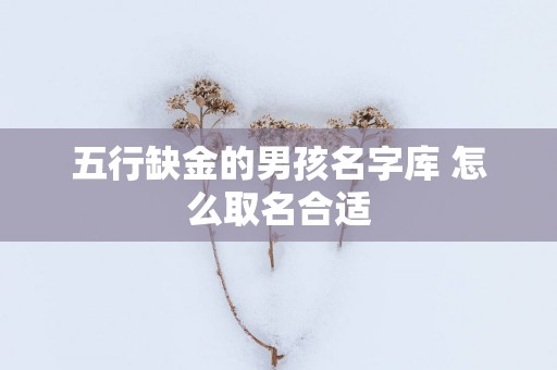 五行缺金的男孩名字库 怎么取名合适