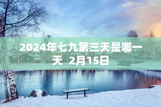 2025年七九第三天是哪一天  2月15日
