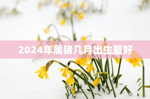 2025年属猪几月出生最好