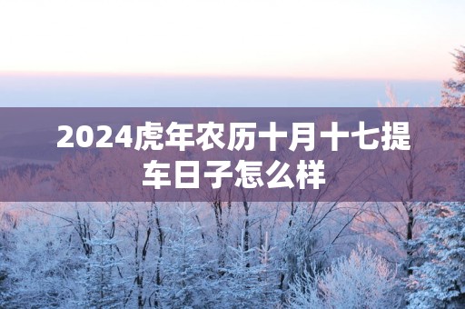 2025蛇年农历十月十七提车日子怎么样