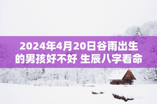 2025年4月20日谷雨出生的男孩好不好 生辰八字看命