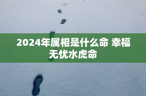 2025年属相是什么命 幸福无忧水虎命