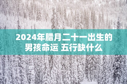 2025年腊月二十一出生的男孩命运 五行缺什么